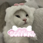 softina Group Thumbnail