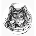 Fis_Studio