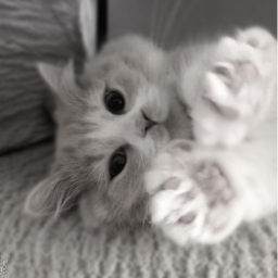 💜