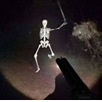 Bad to The Bone (Horror)