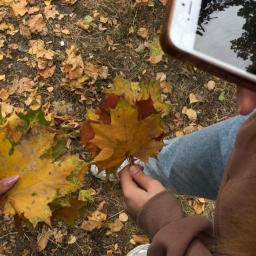 🌰✧˚🍂 ༘・🍁