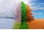 Seasons :)