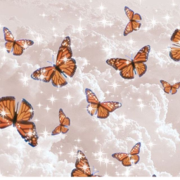 Aesthetic Butterflies Hangout!