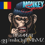 (MS) Monkey Studios