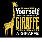 The Giraffe Head Quarters
