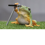 Froggy Friends :D