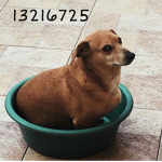 R 3 R 1 T Y
