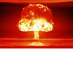 survive the nuke