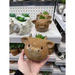axolotl forever Group