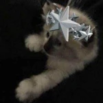 civoura ۶ৎ Group Thumbnail