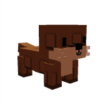Sea Otter