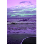 Boysenberry