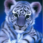 Help White Tigers