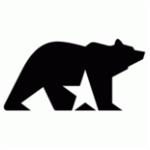 Bear Star Security