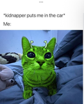 GNARPY DA CAT