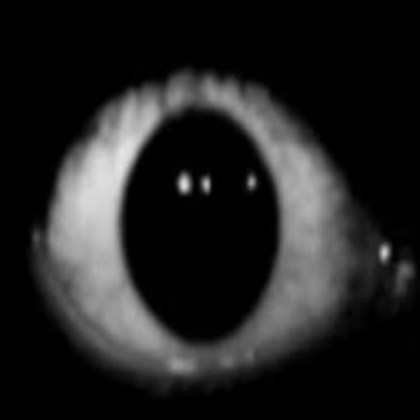 Scary eye Roblox decal