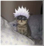 c1xrkk is not home