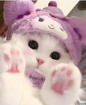 aime very nice