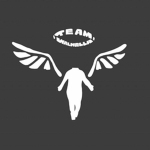 Valhalla | Esport