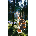 The official warrior cats fan group <3
