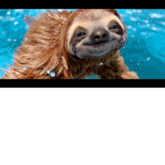 Sloth team is the best