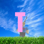 Tippee Hotels