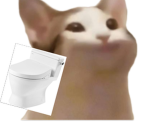 馬桶貓貓的觀眾群組UwU(訂閱下去!!!)