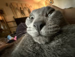 NessaMels