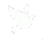 Holy | 聖
