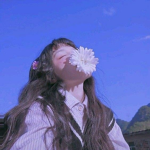 Cherry Blossom Aesthetic !
