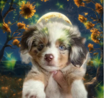 Who likes dogs???