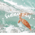 - Summer Vibess -