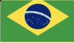 The brazillan group