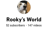 Rooky’s gang