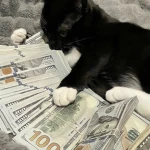 ＄＄＄ Group Thumbnail