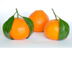 THE ORANGE BOLT