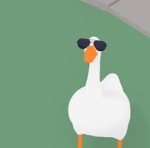 ⋆⋅goose⋅⋆