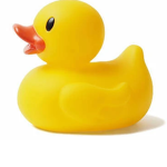 Ducky Colony