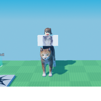 Cart Ride Into Shane Dawson! (Very Cool)