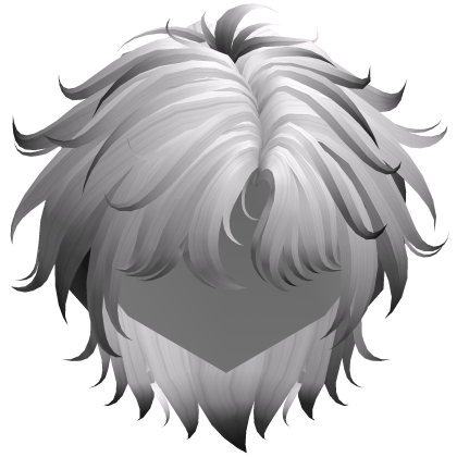 Black & White Fluffy Messy Korean Idol Hair