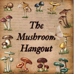 the mushroom hangout