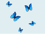 butterfly games!