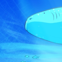 🦈