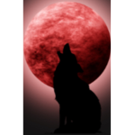WOLVES AWOOOOOOO