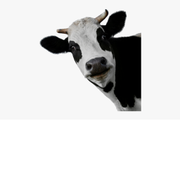 Obby