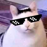 HuhCatKingdom