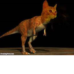 t-rex cats