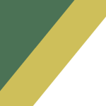 Saweto National Army