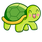 Weird turtle girls !