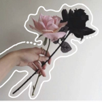 Eliana’s bbys シ